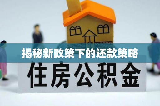 镇远揭秘新政策下的还款策略