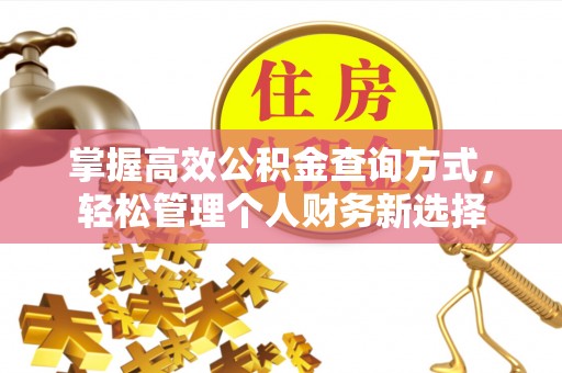 镇远掌握高效公积金查询方式，轻松管理个人财务新选择