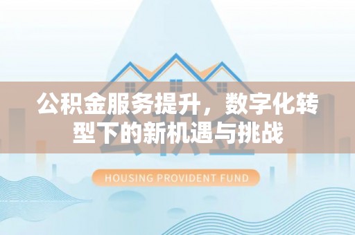 镇远公积金服务提升，数字化转型下的新机遇与挑战