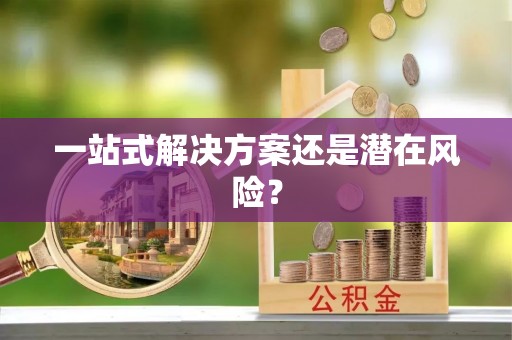 镇远一站式解决方案还是潜在风险？